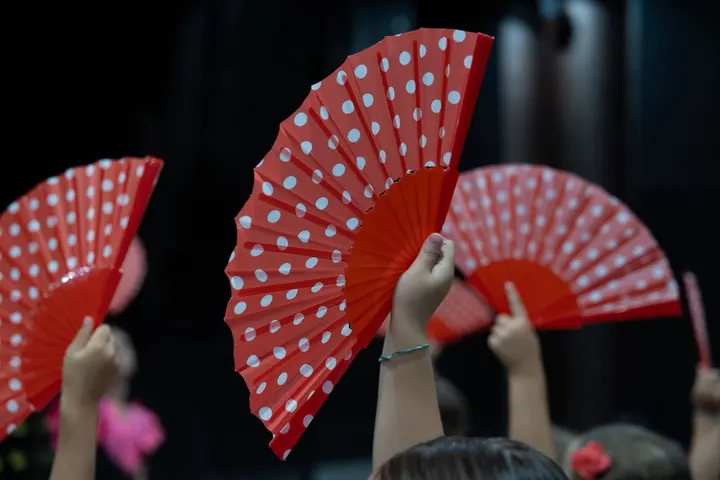 L'Atelier flamenco — danse-studio à Toulouse — 5