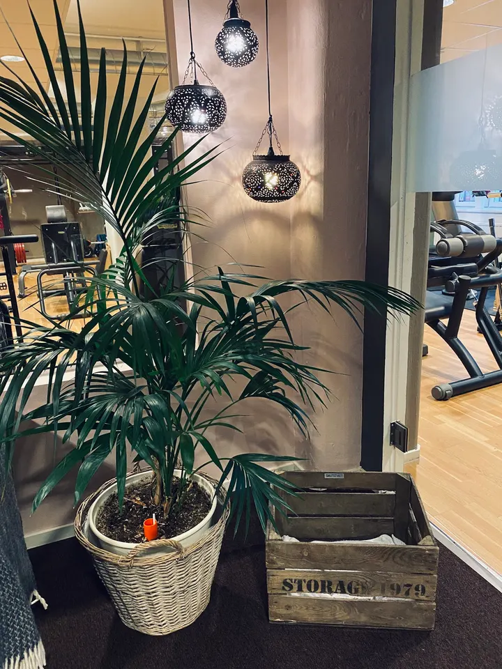 Empower Wellness — pt-studio i Göteborg — 3