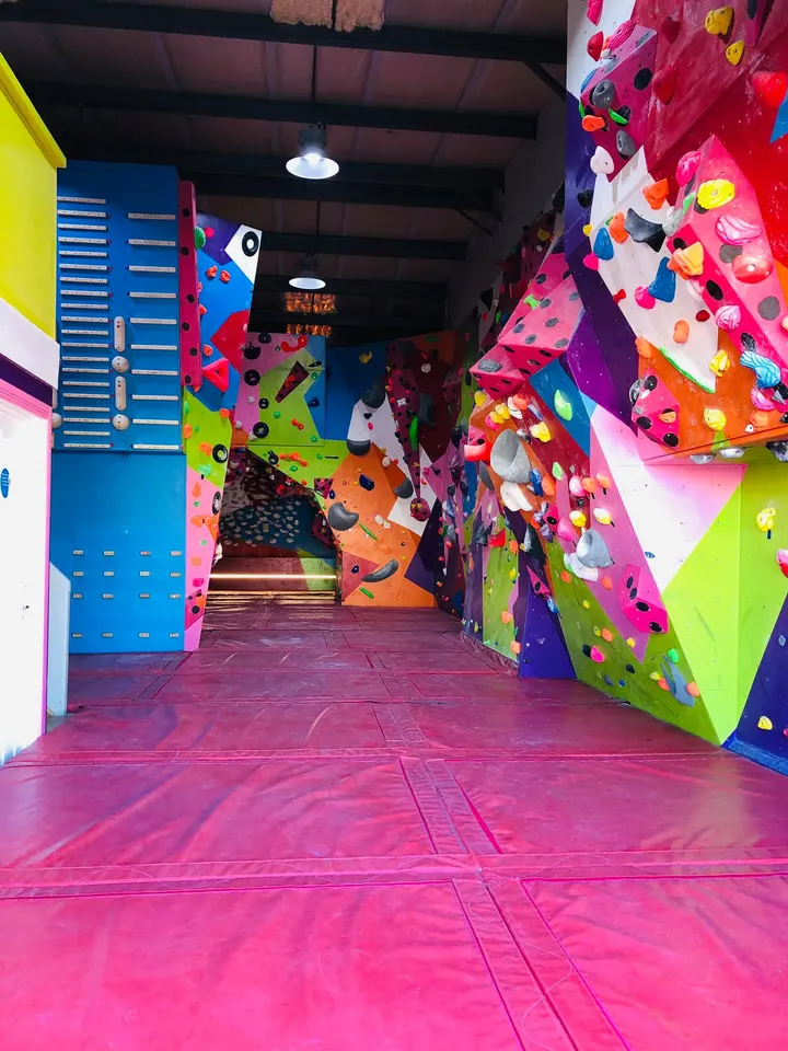 Forest Climbing — climbing-studio in Cinderford — 5