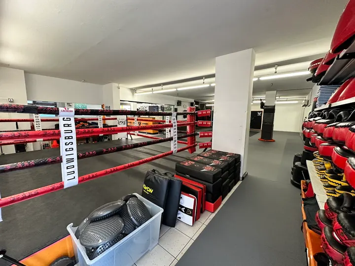 Fitness- und Kampfsportakademie Süd — Kampfsport in Neckarweihingen, Ludwigsburg-Neckarweihingen