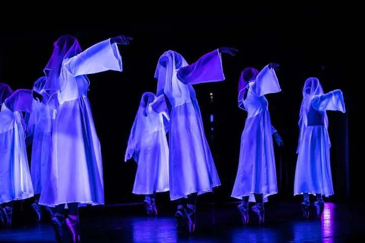 Centre de Danse Dauphine — danse-studio à Orléans — 4