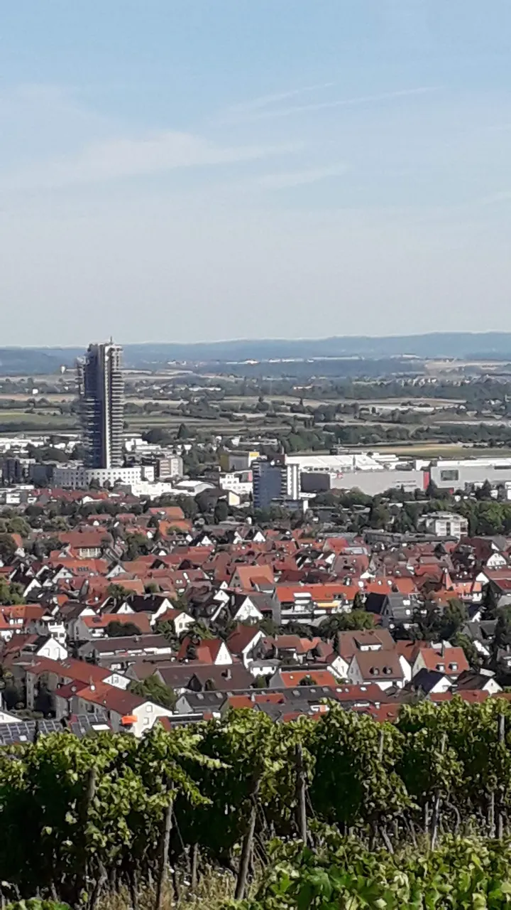 Fellbach — fitnessstudio in Fellbach — 4