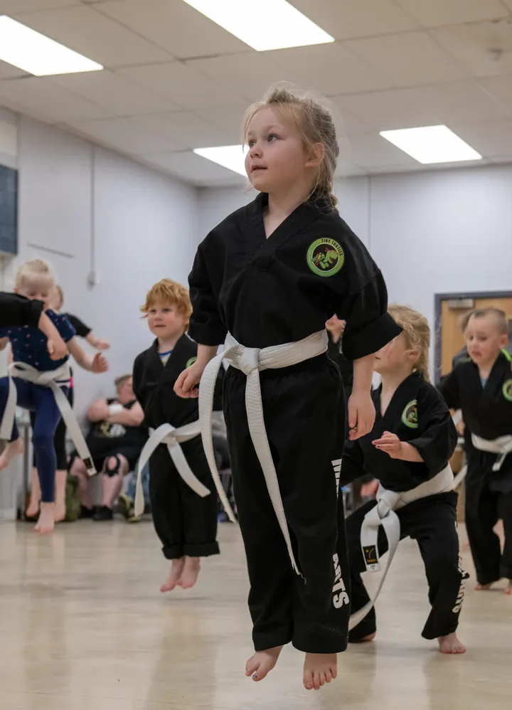 Moon Martial Arts — martial arts-studio in Upper Midway, Swadlincote — 2