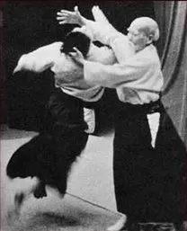 Aikido Rillieux — Arts martiaux à Rillieux-la-Pape