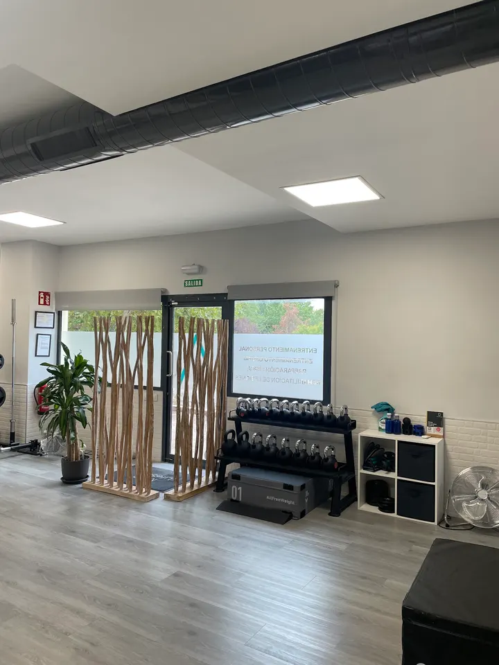 Fisioterapia y Centro de entrenamiento MAD LifeStyle — entrenamiento personal-studio en Palacio, Madrid — 2
