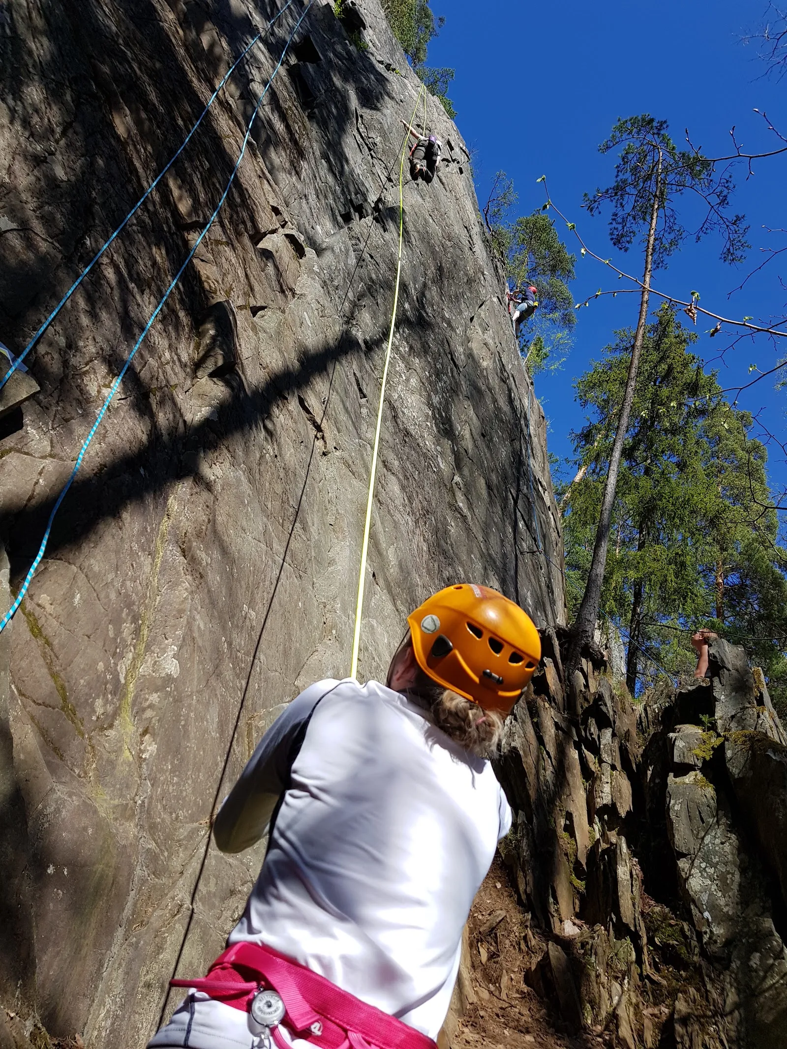 Kelo ja kallio Adventures — kiipeily-studio – Tampere — 2