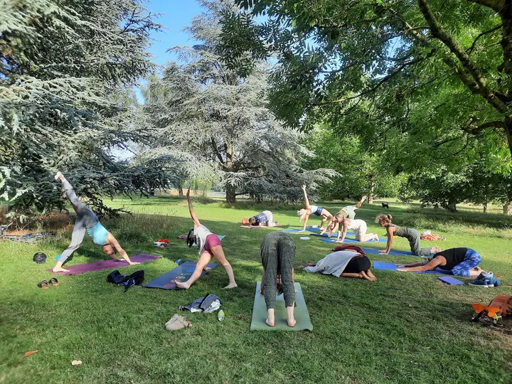 Shen Yoga New Oriel — Yoga in Larkhall, Bath