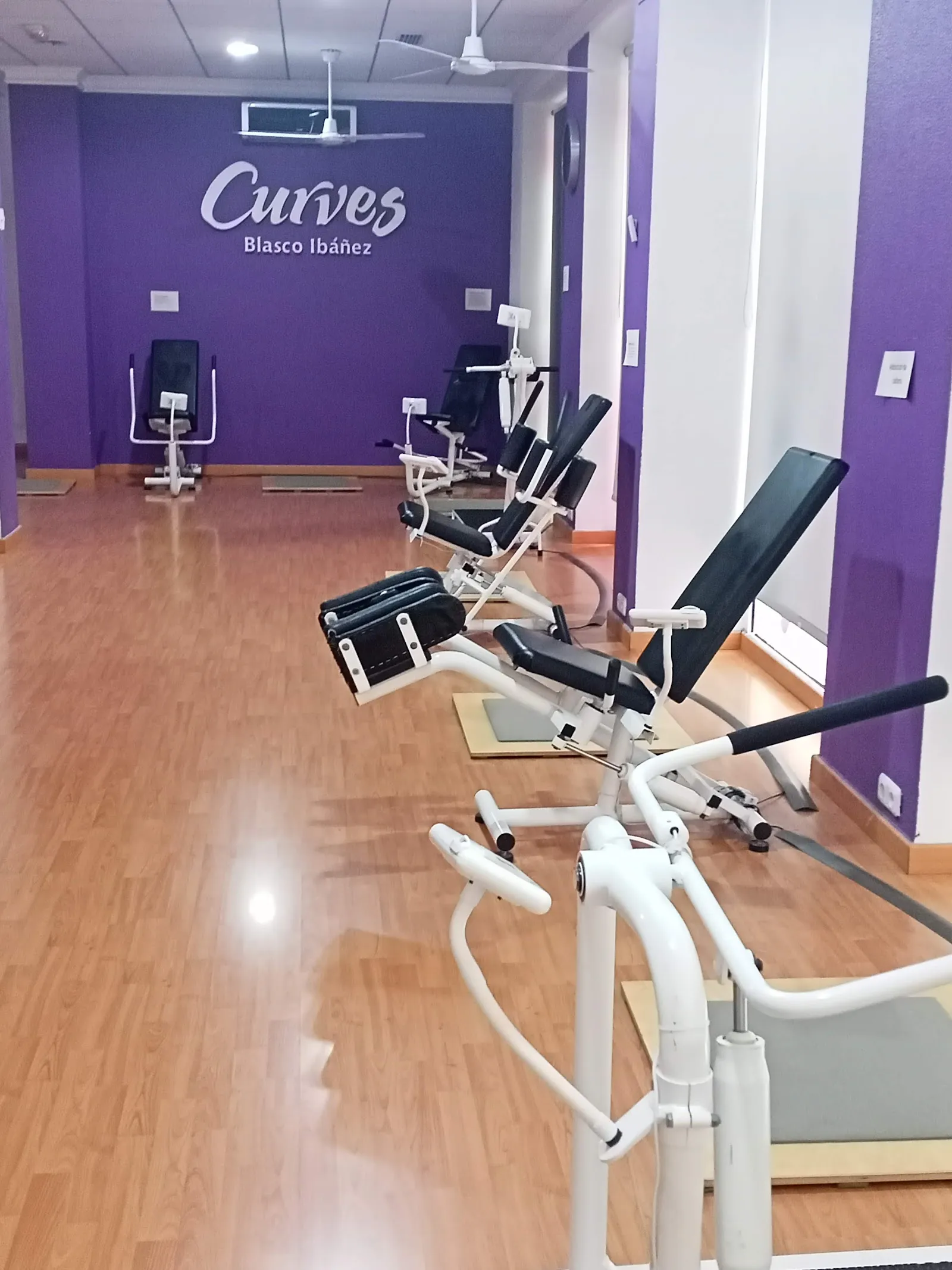 Curves Elche - Blasco Ibáñez — estudio de fitness-studio en Urbanització Les Atzavares, Elx — 2