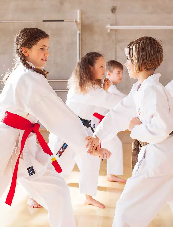 Karate Dojo Khatibi – Schule fürs Leben — kampfsport-studio in Neureut Nördlicher Teil, Karlsruhe — 3