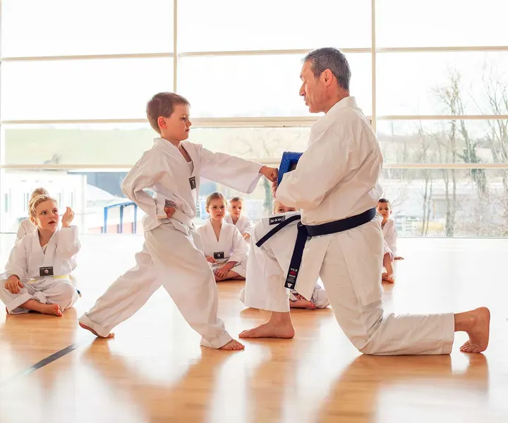 Karate Dojo Khatibi – Schule fürs Leben — Kampfsport in Neureut Nördlicher Teil, Karlsruhe