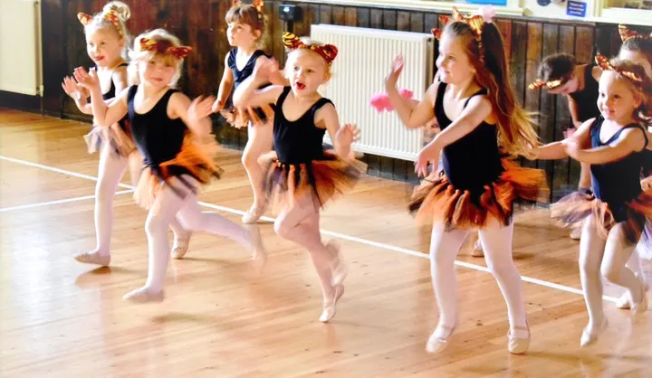 St Hilda's Studios Of Classical Ballet — dance-studio in Eskdaleside cum Ugglebarnby, Whitby — 2