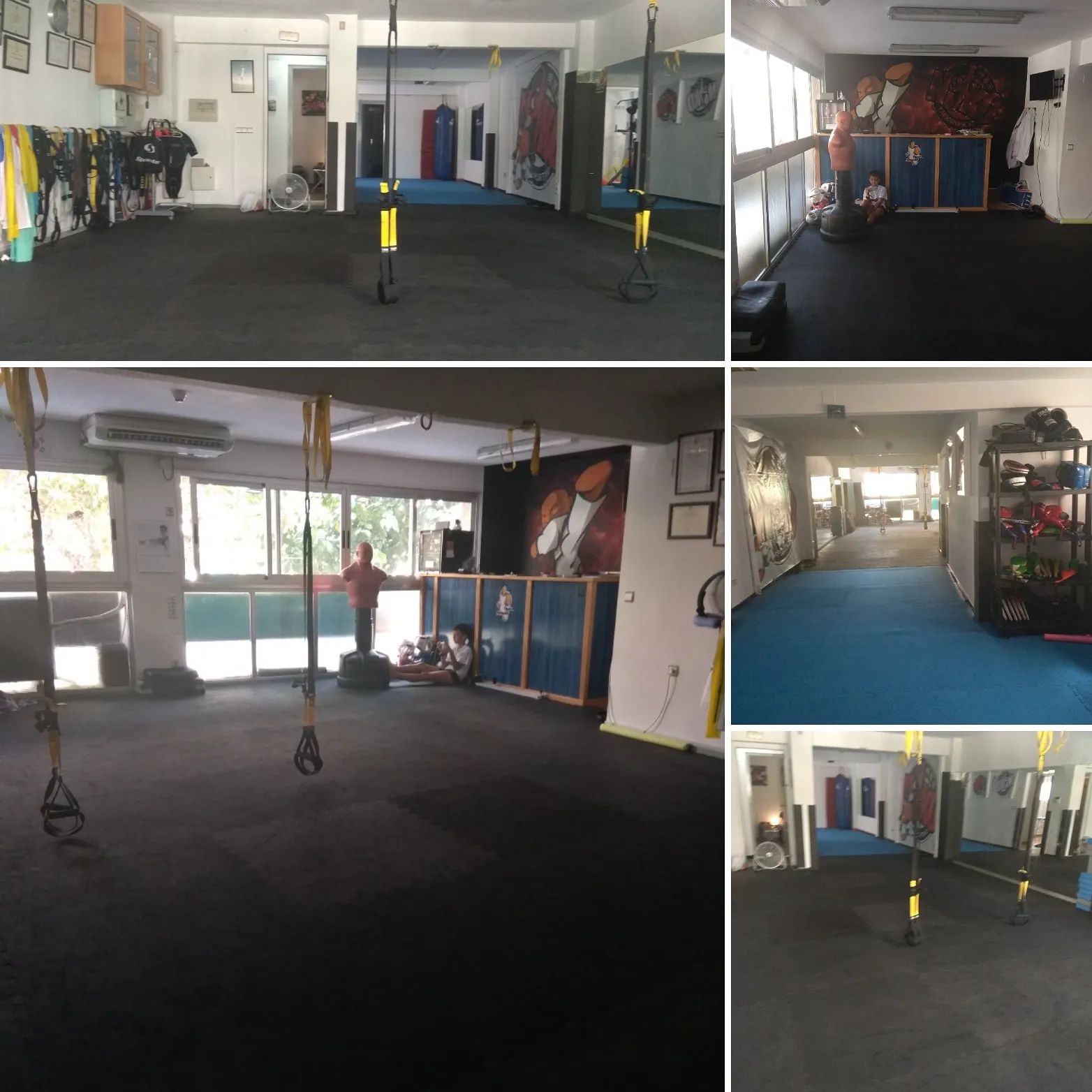 Club Taekwondo Niko — artes marciales-studio en Sant Joan d'Alacant — 3