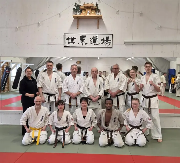 IF Seishin Kyokushin Karate — kampsport-studio i Linköping — 3