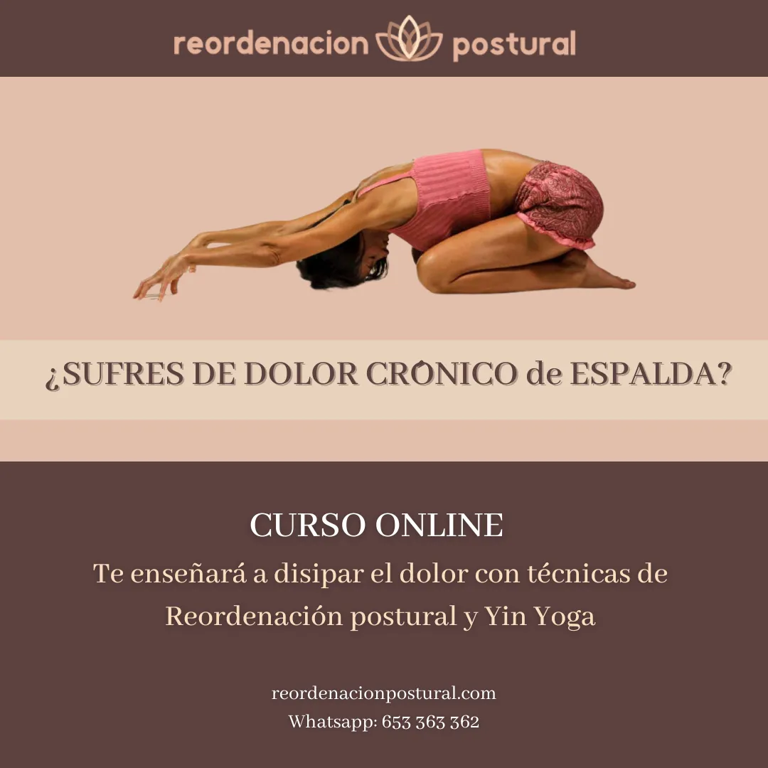 Reordenación Postural & Yoga Terapéutico — yoga-studio en NUEVO — 4