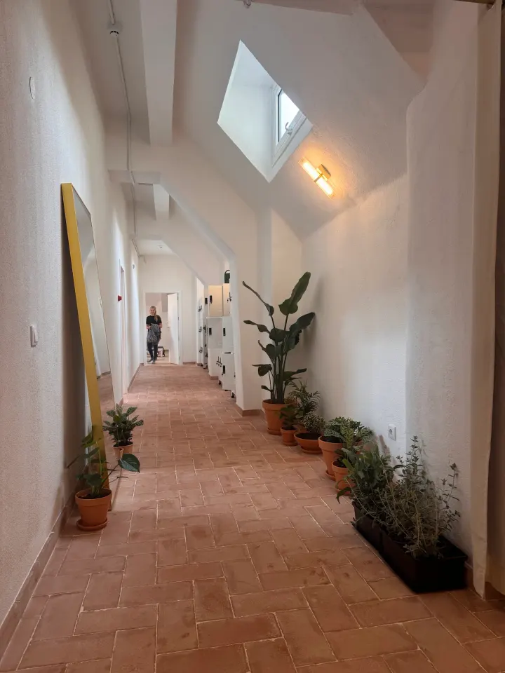 Muse Movement Lisboa — pilates-studio em Lisboa — 3