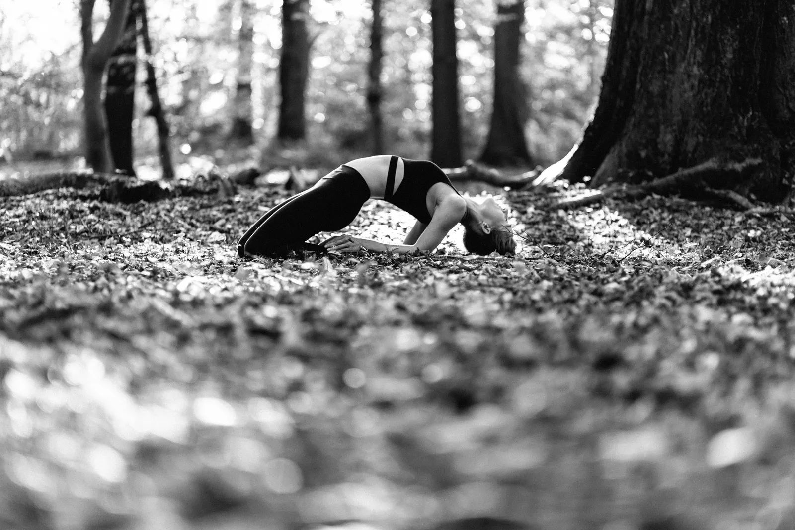 Bliss Yoga — yoga-studio i Duisburg — 2