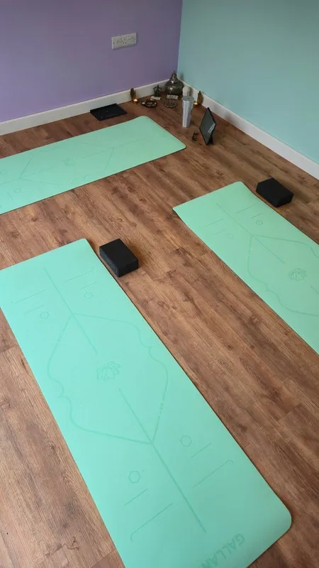 Hannah's House Pilates — reformer pilates-studio in Chesterfield — 3