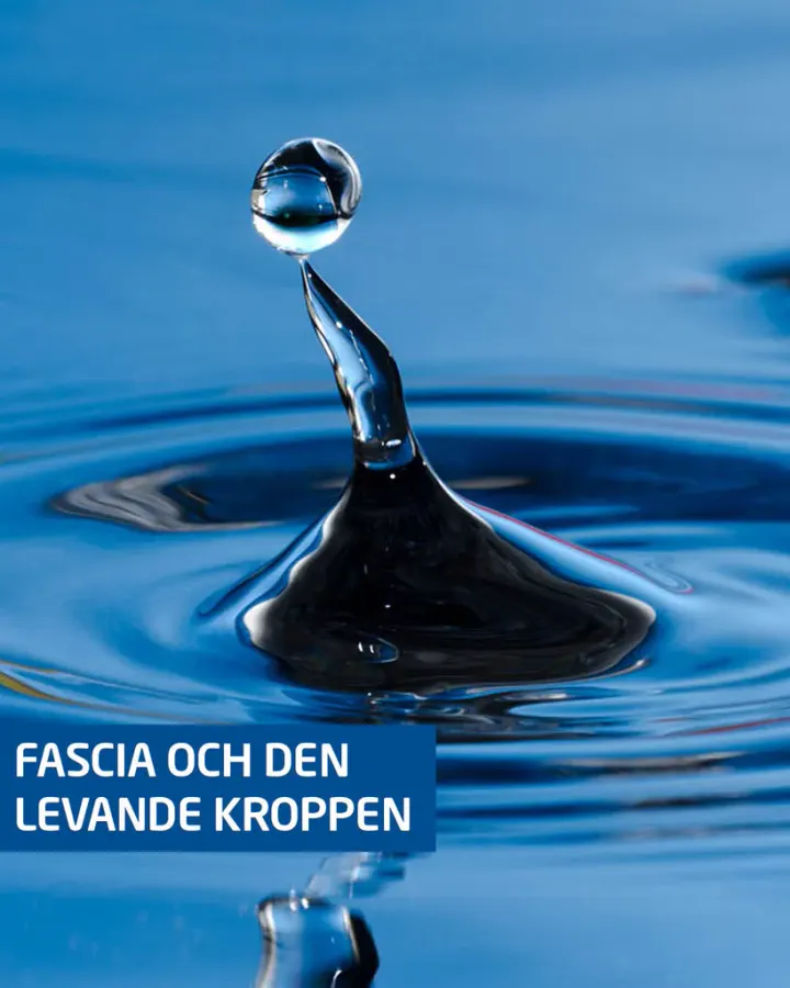 eMs Massage — recovery-studio i Centrum, Skellefteå