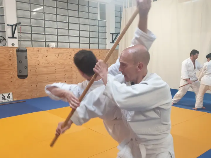 Aikido Pamplona Chushinkan — artes marciales-studio en Milagrosa-Arrosadia, Pamplona — 2