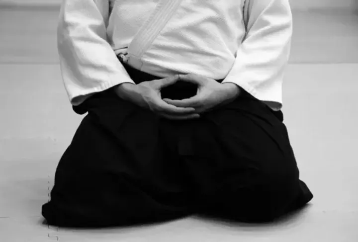 Dojo Chushinkan | Aikido Pamplona — Martial Arts en Milagrosa-Arrosadia, Pamplona