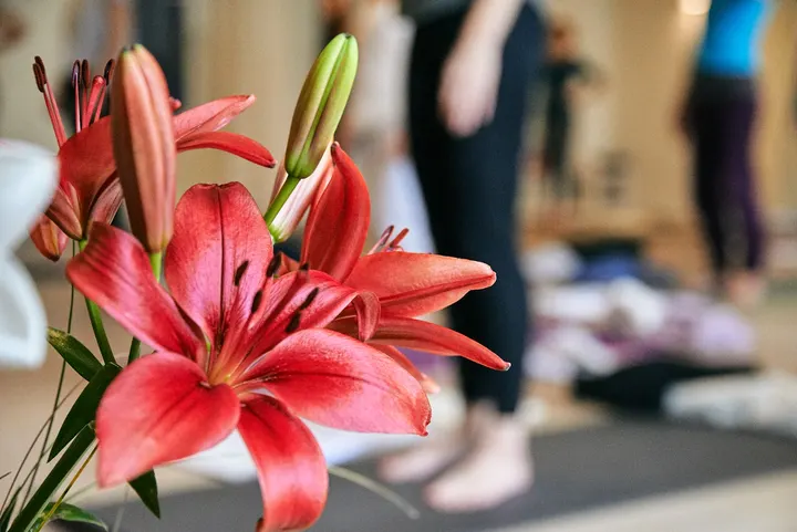 Ashtanga Yoga Bremen — yoga-studio in Bremen — 4