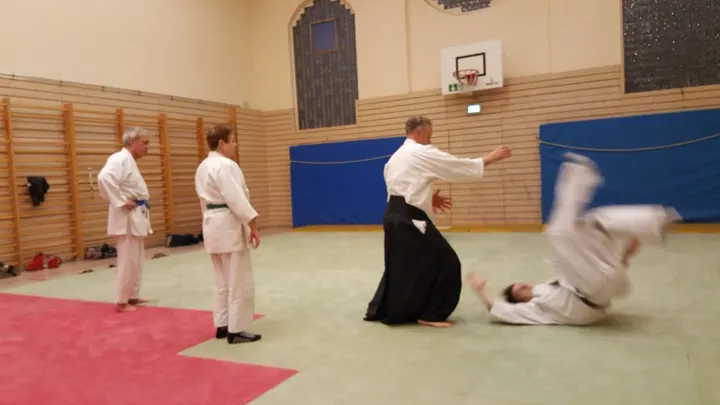 Aikido-Dojo-Stuttgart e.V. — Kampfsport in Oberer Schlossgarten, Stuttgart