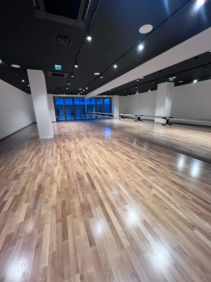 Citadanse — danse-studio à La Plaine - Centre, Saint-Martin-d'Hères — 2