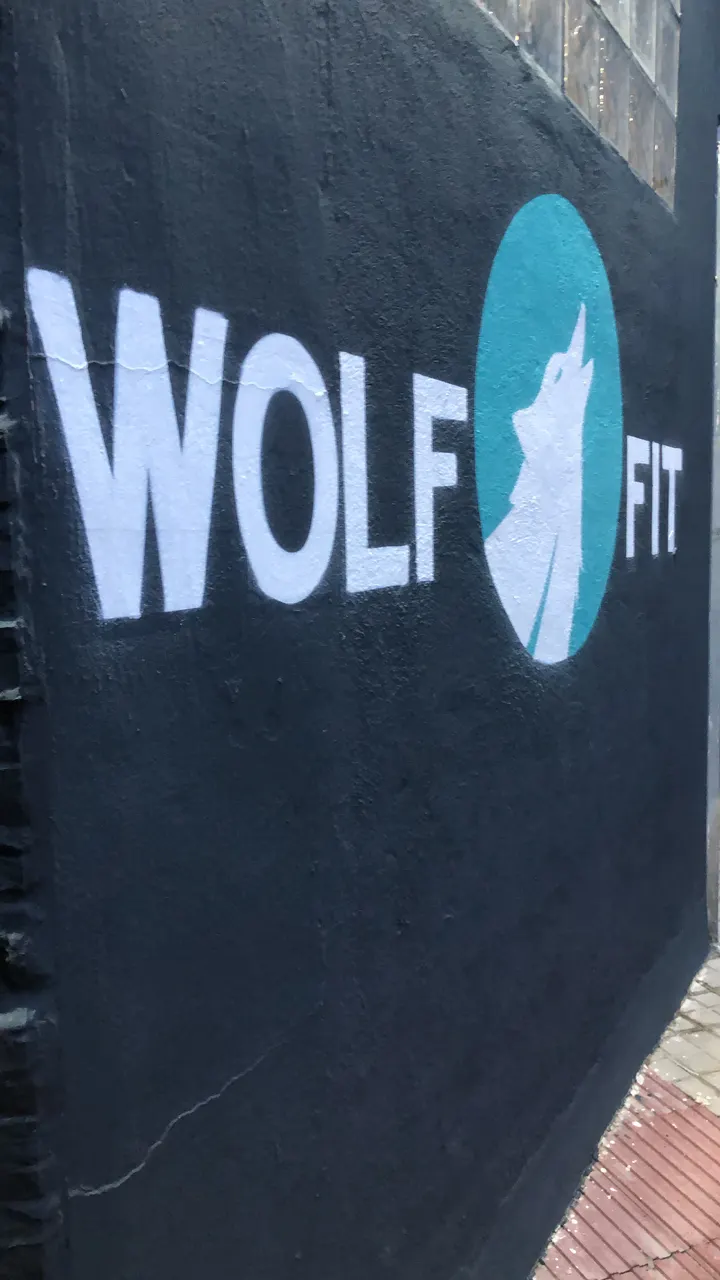 WOLF FIT Entrenamiento personal — entrenamiento personal-studio en Zaragoza — 4