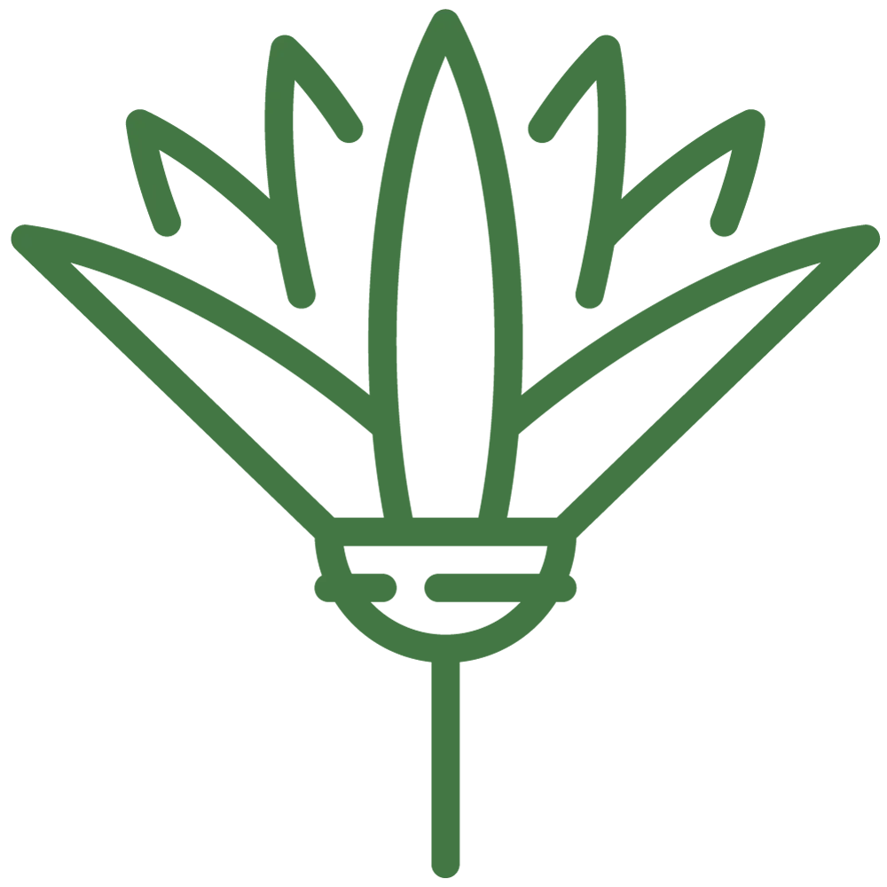 Yoga Gompa — yoga-studio en Chamartín, Madrid — 3