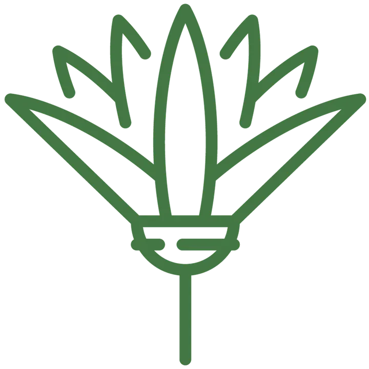 Yoga Gompa — yoga-studio en Chamartín, Madrid — 2