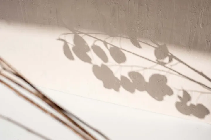 Studio Mama's — yoga-studio in Dongen — 4