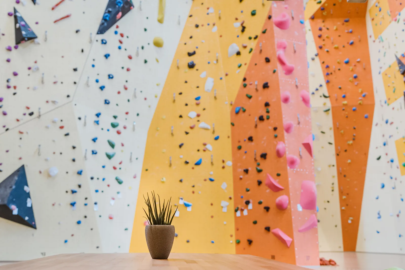 KletterBar Kiel — bouldern-studio in Melsdorf — 5