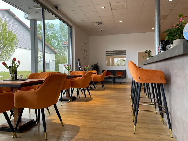 Locomotion Fitness GmbH — fitnessstudio in Bodenheim — 4