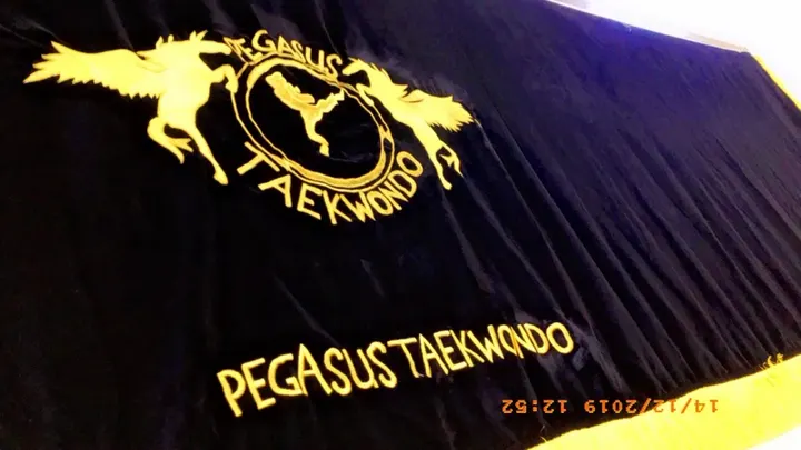 Pegasus Taekwondo — martial arts-studio in West Green, London — 2