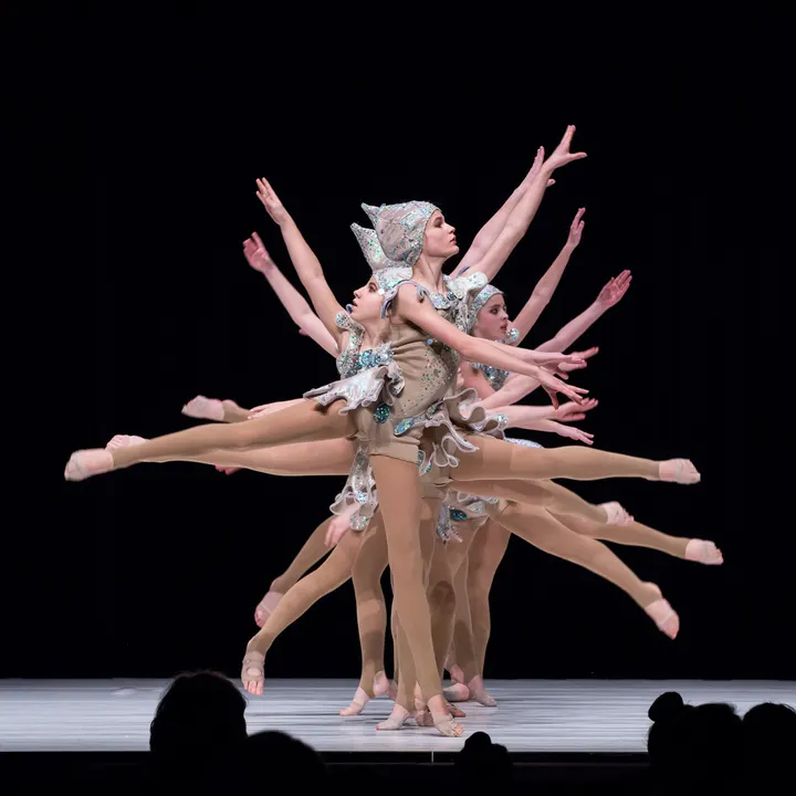 Ballett- und Tanzschule Dilly-Dance — tanz-studio in München — 4