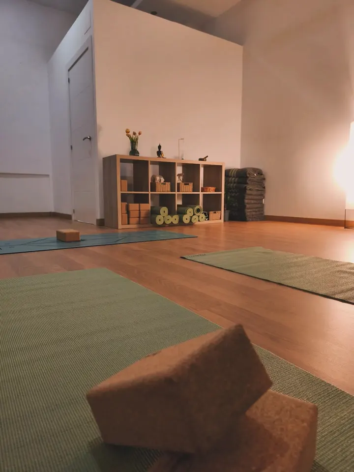 Parinama Yoga — yoga-studio en Oviedo — 4