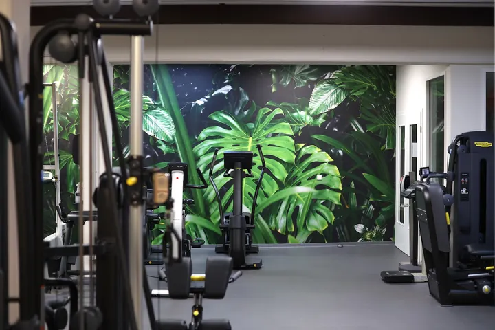 Hempel Rehabilitation & Bewegung — pt-studio in Gesundbrunnen, Berlin — 3