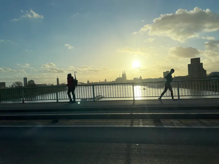 Limitless Athletic - Rheinpark Zoobrücke — functional training-studio in Köln — 3