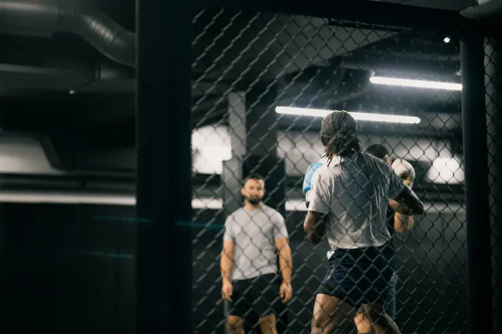Sweden Top Team — BJJ i Vasastan, Stockholm