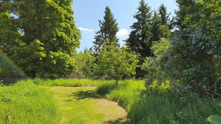 Narumi Retreat Center — yoga-studio i Örbyhus — 3