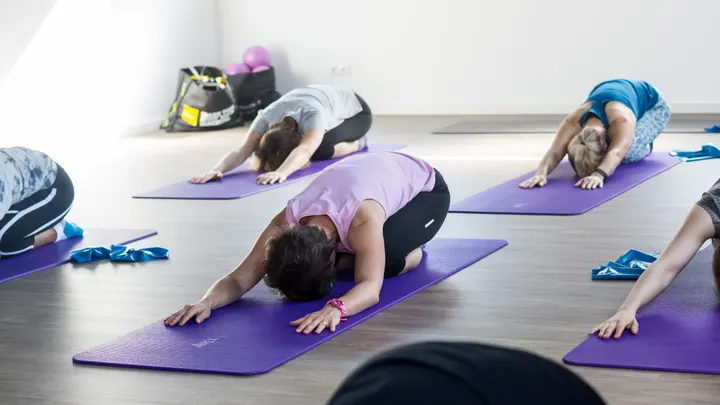 Alineo Pilates & Business Coaching — pilates-studio in Trier — 4