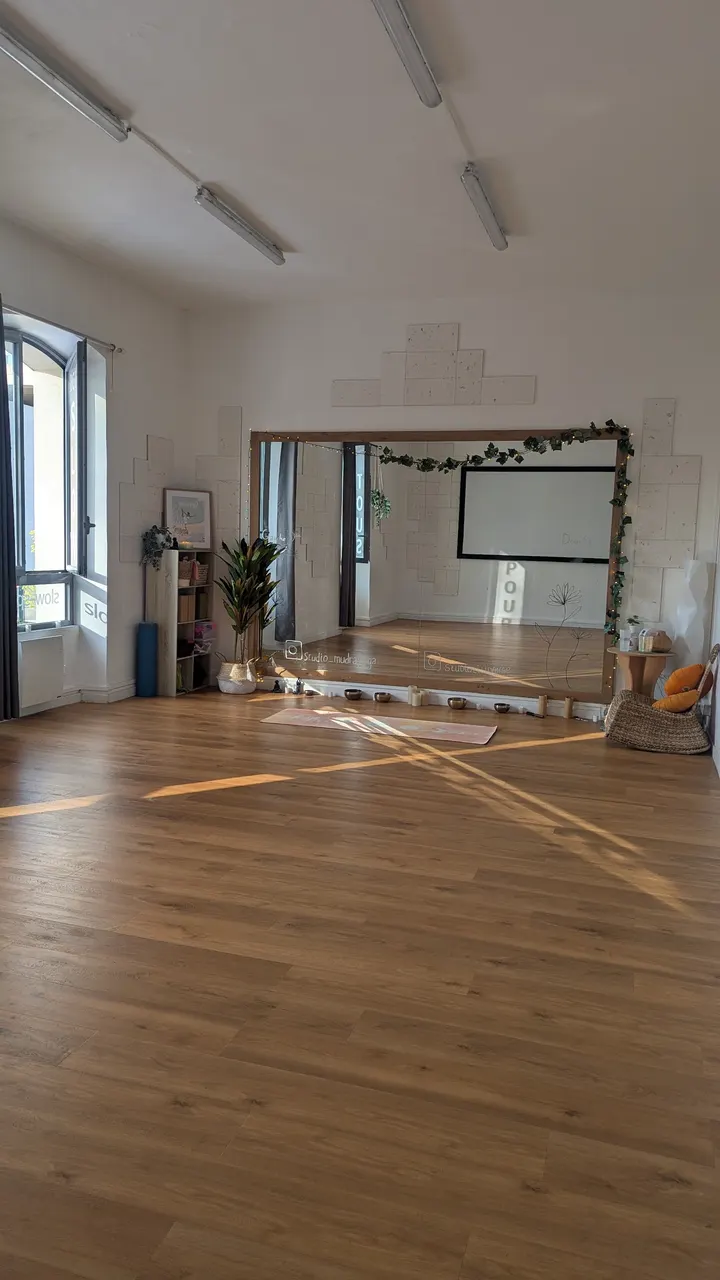 Mudra Yoga Vilmorin — yoga-studio à Paris — 4