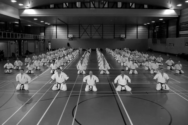 Sportschool Kihon Kapiteinflats — sportschool-studio in Kapiteinflats, Zwijndrecht — 3