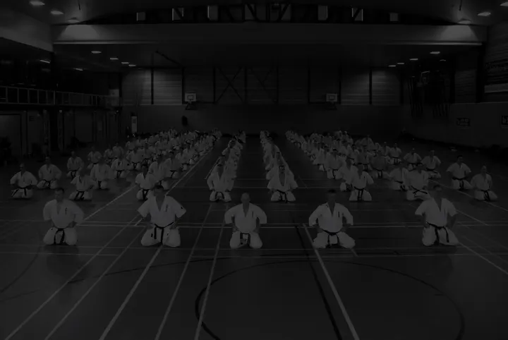 Sportschool Kihon Kapiteinflats — Sportschool in Kapiteinflats, Zwijndrecht