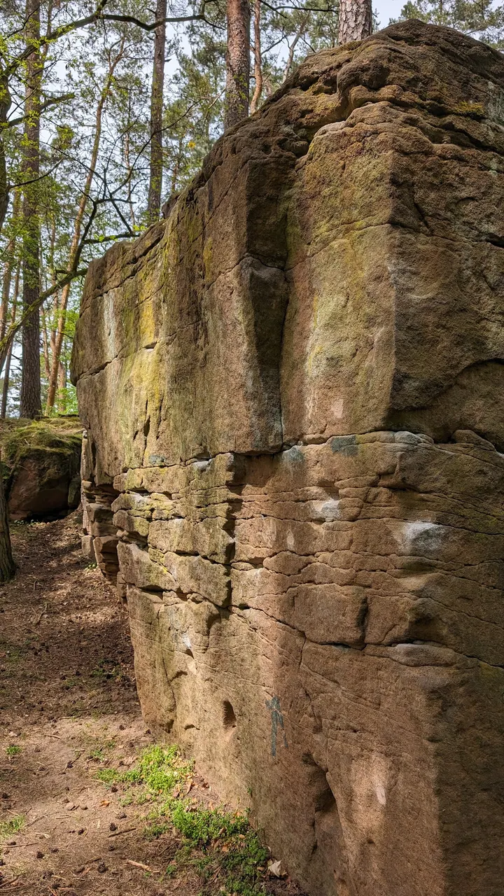 Boulderfelsen Stadtwald — bouldern-studio in Oberfürberg, Eschenau, Fürth — 3