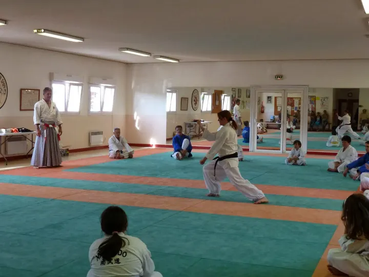 Nanbudo Shin Bompas — arts martiaux-studio à Bompas — 2