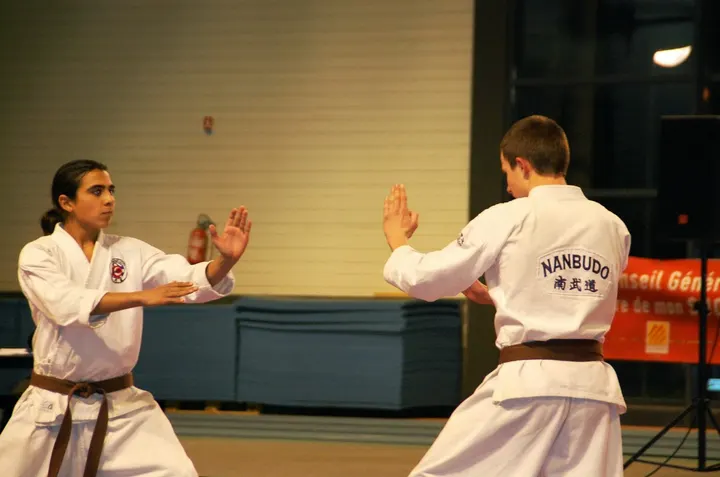 Nanbudo Shin Bompas — arts martiaux-studio à Bompas — 3
