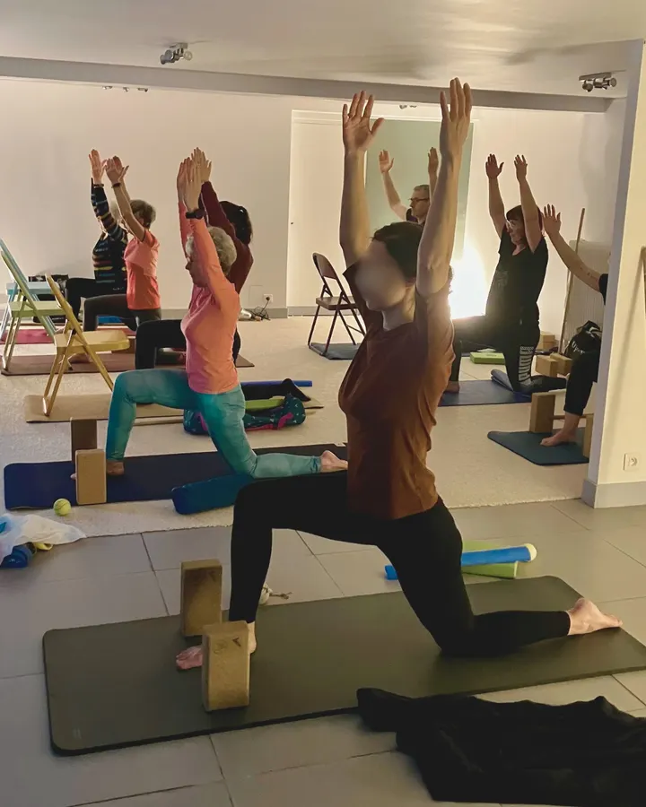 Lucia Yoga Nord (Pont du Cens) — yoga-studio à Pont du Cens - Côte d'Or, Nantes — 3