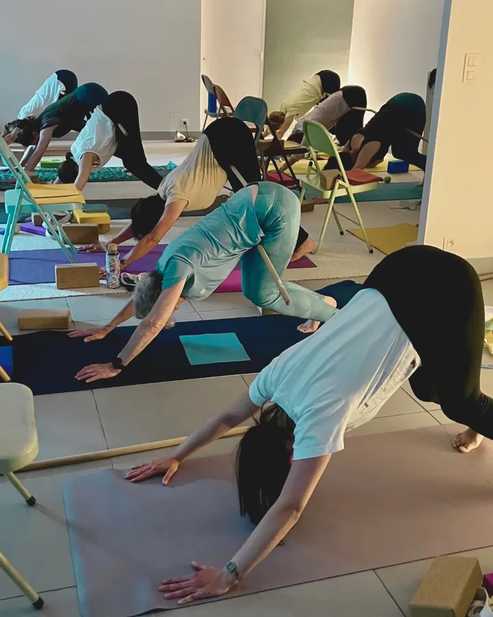 Lucia Yoga Nord (Pont du Cens) — yoga-studio à Nantes — 5