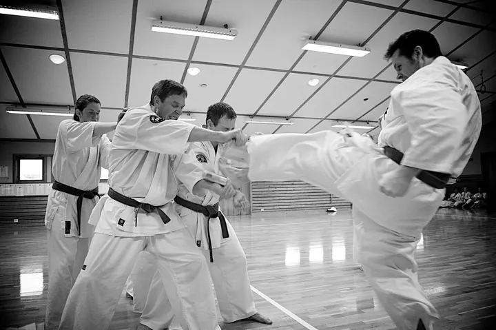 Sandnes Karateklubb — martial arts-studio i Stangaland, Sandnes